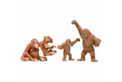 Набор фигурок животных серии Мир диких животных. Семья орангутангов (4 предмета)