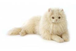 Мягкая игрушка Персидский кот Табби, рыже-белый, 70 см